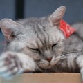 Is scala easier than java?