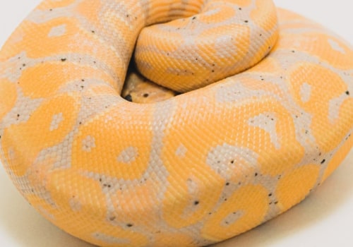 Is scala better than python?